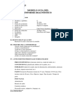 Informe Guía de Trabajo Del Informe Diagnóstico.