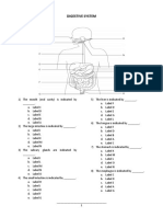 Digestive System