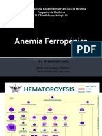 Anemia Ferropenica