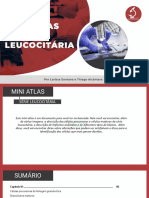 Ebook - Mini Atlas - Série Leucocitária (1) .PPTM