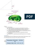 Alevel Biology Notes:: Unit 4 Topic 5 (Plants and Biodiversity)