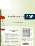 Membranas Biologicas