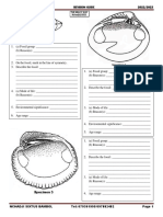 Palaeontology Revision Guide