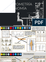 Antropometria y Ergonomia