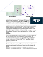 Chaga's and Taxoplasmosis