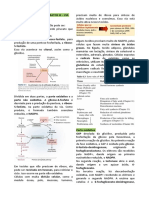 6 - Metabolismo de Carboidratos III - Via Das Pentoses Fosfato