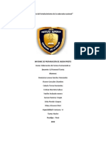 Informe - Jabon Prieto