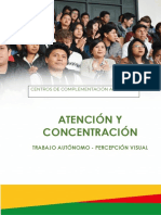 Trabajo Autónomo Atención y Concentración Percepción Visual