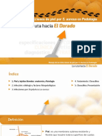 Manejo de Las Infecciones de Piel Por Staphylococcus Aureus en Podologia v2