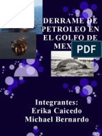 Derrame de Petroleo en El Golfo de Mexico