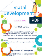 Prenatal Development