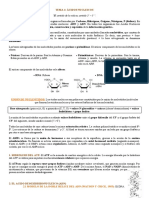 Tema 4 - Biología Molecular