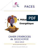 Paces: 4. Métabolisme Energétique