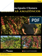 Os Principais Clones Robustas Amazônicos