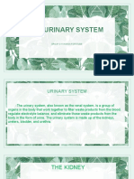 Presentation2 URINARY