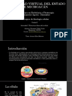 CarlosBautistaValle - Estructura Fisica de La Celula