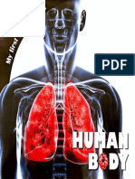 Human Body