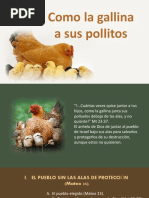 5-Como Gallina A Sus Pollitos