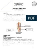 Irrigación de La Pierna