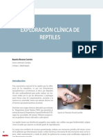 27 Exploracion Reptiles