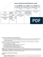 Plan de Intervención Colegiado de Aprendizaje Microrregional Enero