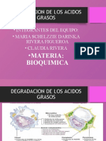 Degradación de Los Ácidos Grasos Bioquimica