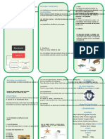 PDF Triptico Animales Vertebrados e Invertebrados