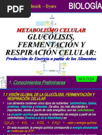 05 Glucólisis Fermentación y Respiración Celular