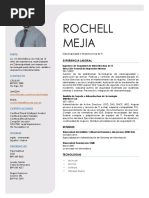 Rochell (Ciberseguridad e Infraestructura de TI)