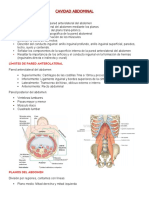 Abdomen y Conducto Inguinal