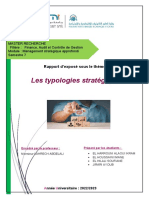 Rapport Sur Les Typologies Stratégiques