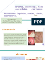 Parasitología - Parásitos, Epidemiologia, Medio Ambiente, Generalidades, Clasificación, Morfología. Protozoarios - Flagelados, Amebas, Ciliados, Esporozoarios.