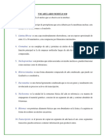 VOCABULARIO MODULO 10 (Resuelto)