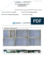 Informe de Evidencia de Aprendizaje - Primero Basico Final