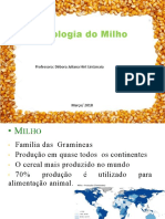 Aula 5 - Tecnologia Do Milho