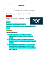 Neuroanatomia Aula 6 Meninges