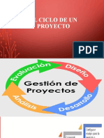 El Ciclo Del Proyecto