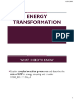 Lesson 1 ADP-ATP Cycle