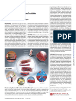 The World of Two-Dimensional Carbides and Nitrides (MXenes)