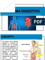 Sistema Digestivo