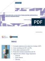 Ponencia Osalan VST Riesgos Respiratorios