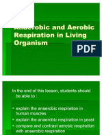 Anaerobic and Aerobic Respiration in Living Organism