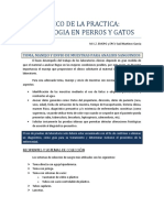 HEMATOLOGIA PRACTICA EN PERROS Y GATOS (Repaired)