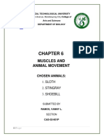 Chapter 6 - Muscles and Animal Movement - (Ramos, Vanny L.)