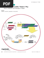 Vancomycin Assembly: Nature's Way: Reviews