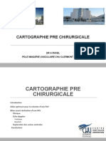 Cartographie Pre Chirurgicale: DR A Ravel Pole Imagerie Vasculaire Chu Clermont Ferrand