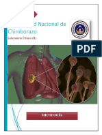 Nuñez - MariaJose - Trabajo Autonomo