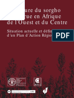 La Culture Du Sorgho de Décrue en Afrique de L-Ouest Et Du Centre