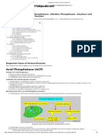 Enzymes - Part 2 - Acid Phosphatase, Alkaline Phosphatase, Amylase and Angiotensin-Converting Enzyme