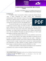 Alteraçoes Laboratoriais Rangeliose Relatos de Casos